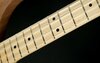 Rickenbacker 4003/4 S, Natural Walnut: Neck - Front
