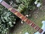 Rickenbacker 4003/4 , Blue Boy: Neck - Front