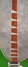 Rickenbacker 360/6 CB VP, Candy Apple Green: Neck - Front