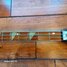 Rickenbacker 4001/4 , Jetglo: Neck - Front