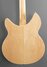 Rickenbacker 1993/12 Plus, Mapleglo: Body - Rear