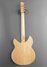 Rickenbacker 1993/12 Plus, Mapleglo: Full Instrument - Rear