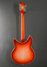 Rickenbacker 1993/12 Plus, Fireglo: Full Instrument - Rear