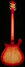 Rickenbacker 660/12 , Fireglo: Full Instrument - Rear