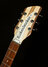 Feb 2024 Rickenbacker 330/6 , Mapleglo: Headstock