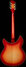 Rickenbacker 1993/12 Plus, Fireglo: Full Instrument - Rear