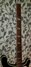 Rickenbacker 4001/4 , Jetglo: Neck - Front