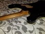 Rickenbacker 4001/4 , Jetglo: Neck - Rear