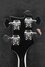 Rickenbacker 4003/4 S, Jetglo: Headstock - Rear