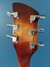 Rickenbacker 330/6 , MonteBrown: Headstock - Rear
