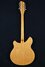 Rickenbacker 360/12 , Mapleglo: Full Instrument - Rear