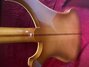 Jan 1979 Rickenbacker 4001/4 , Autumnglo: Body - Rear