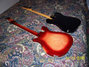 Rickenbacker 660/12 TP, Fireglo: Full Instrument - Rear