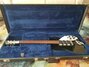 Rickenbacker 350/6 , Jetglo: Full Instrument - Front