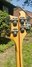 Rickenbacker 4001/4 BT, Mapleglo: Headstock - Rear