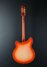 Rickenbacker 360/6 , Fireglo: Full Instrument - Rear