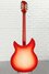 Rickenbacker 360/12 C63, Fireglo: Full Instrument - Rear