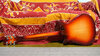 Rickenbacker 620/6 , Fireglo: Full Instrument - Rear