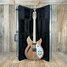Rickenbacker 330/12 , Natural Walnut: Free image2