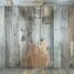Rickenbacker 330/12 , Natural Walnut: Full Instrument - Rear