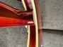 Rickenbacker 370/6 Byrd, Fireglo: Neck - Rear