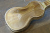 Rickenbacker NS 100/6 LapSteel, Silver: Body - Rear