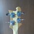 Rickenbacker 4001/4 SPC, Mapleglo: Headstock - Rear