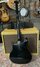 Rickenbacker 660/12 TP, Jetglo: Full Instrument - Rear