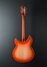 Rickenbacker 360/12 C63, Fireglo: Full Instrument - Rear