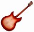 Rickenbacker 330/6 , Fireglo: Full Instrument - Rear