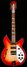 Rickenbacker 1993/12 Plus, Fireglo: Full Instrument - Front