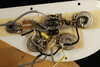 Rickenbacker 4001/4 , Mapleglo: Free image