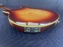 Rickenbacker 360/6 , Fireglo: Close up - Free