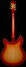 Rickenbacker 1993/12 Plus, Fireglo: Full Instrument - Rear