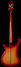 Rickenbacker 4003/4 , Fireglo: Full Instrument - Rear
