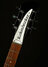 Apr 2024 Rickenbacker 330/6 , Jetglo: Headstock