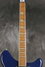 Rickenbacker 360/12 , Azureglo: Neck - Front