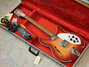 Rickenbacker 1993/12 RoMo, Fireglo: Free image