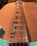 Rickenbacker 620/6 Refin, Sea Green: Neck - Front