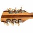 Rickenbacker 360/12 Mod, Fireglo: Headstock - Rear