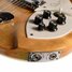 Rickenbacker 360/12 Mod, Fireglo: Close up - Free