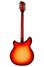 Rickenbacker 370/12 , Fireglo: Full Instrument - Rear