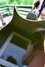 Rickenbacker 350/6 SH, Jetglo: Body - Rear