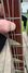 Rickenbacker 4003/4 , Jetglo: Close up - Free2