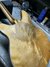 Rickenbacker 360/6 Mod, Natural: Body - Rear