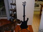 Rickenbacker 4001/4 , Azureglo: Full Instrument - Rear