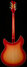 Rickenbacker 360/12 C63, Fireglo: Full Instrument - Rear