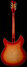Rickenbacker 360/12 C63, Fireglo: Full Instrument - Rear
