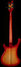 Rickenbacker 4003/4 , Fireglo: Full Instrument - Rear