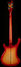Rickenbacker 4003/4 , Fireglo: Full Instrument - Rear